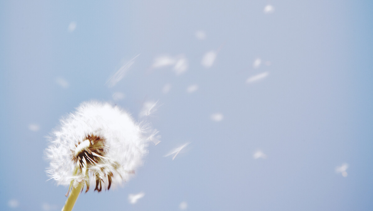 demarche-funeraire pompes funebres Avignon 84